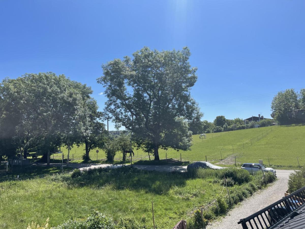 Casa Verde: Kueche, Tv, Nespresso, Im Gruenen Starnberg Exterior foto